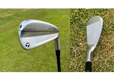 P790 store approach wedge