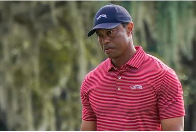 Tiger Woods' brand Sun Day Red is less than a year old but is already facing a second lawsuit, this time from sportswear giant Puma who feel the logo is too similar to their own.