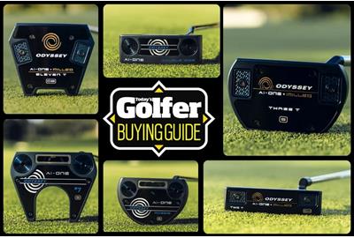 An in depth look at Odyssey's AI putter families to help you decide which is the best one for you.