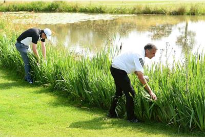 lost-golf-ball