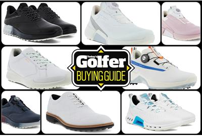 Best Ecco Golf Shoes 2023