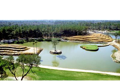 The famous par-3 17th at TPC Sawgrass.